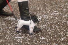 190303-GroeeteOptocht_335