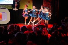 202224-Priesuutreiking_051