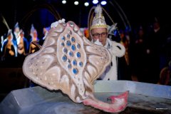 2026-02-17-Abdicatie-0076-JH-4774